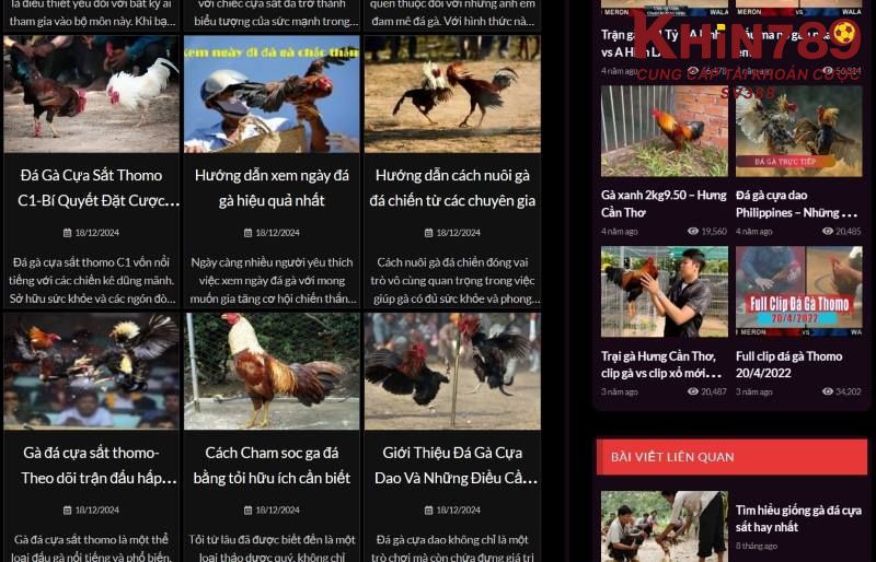 Các bước tham gia sảnh đá gà tại Khin789