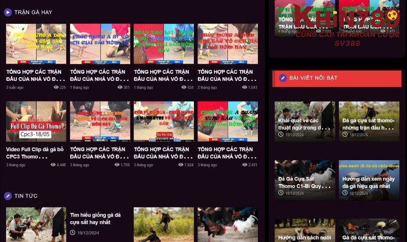 Thắc mắc xoay quanh sảnh chơi đá gà 88