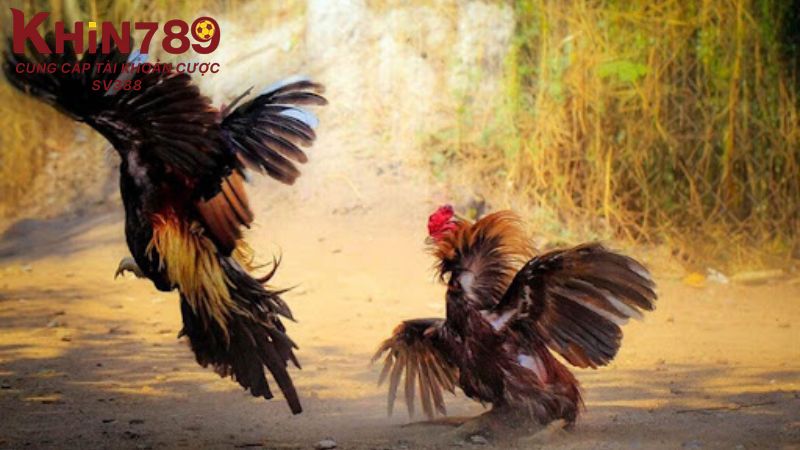 Người chơi cần truy cập đúng link an toàn để tham gia giúp hạn chế rủi ro