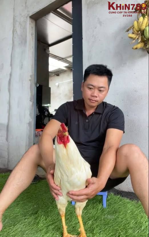 Định hướng của Long Thomo trong tương lai