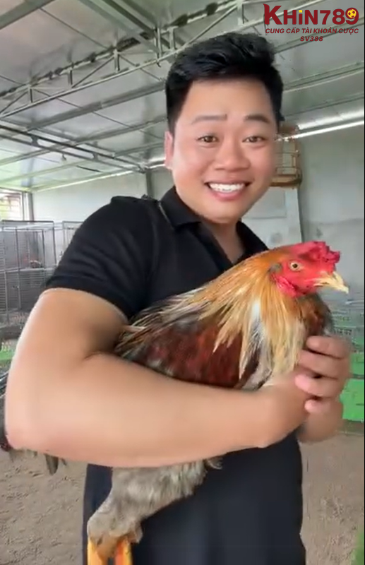 Anh đã thắng giải đá gà có tiếng và từ đó nổi tiếng